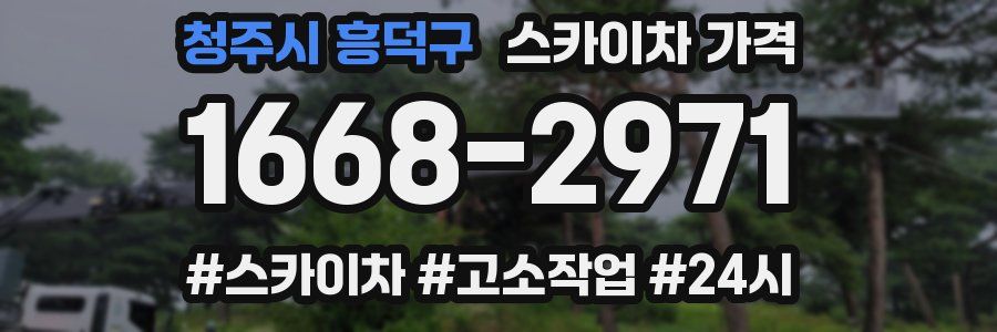 청주시 흥덕구 스카이차 가격