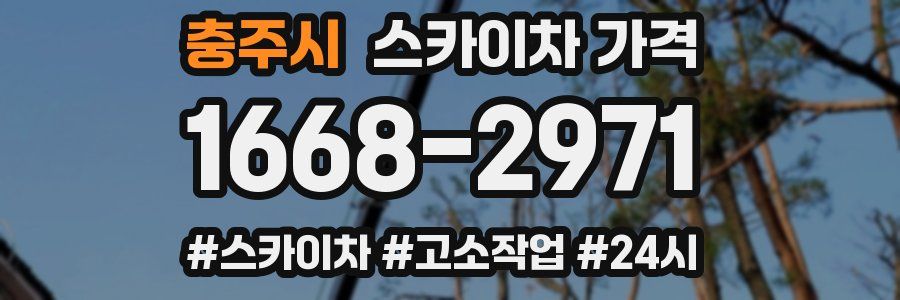 충주시 스카이차 가격