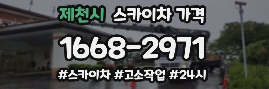 제천시 스카이차 가격