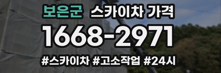 보은군 스카이차 가격