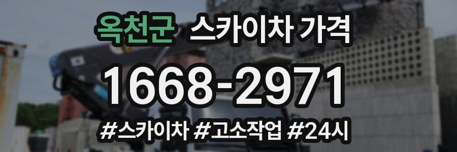 옥천군 스카이차 가격