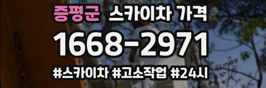 증평군 스카이차 가격