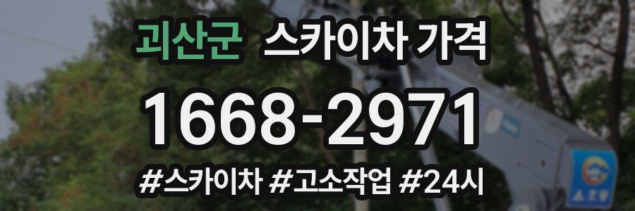 괴산군 스카이차 가격