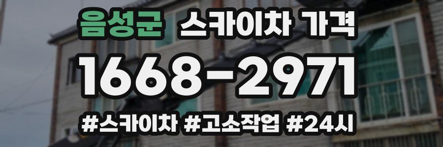음성군 스카이차 가격