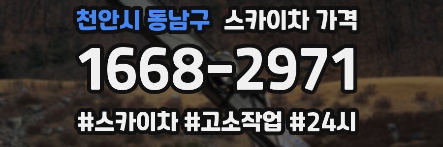 천안시 동남구 스카이차 가격