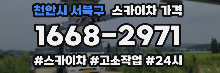 천안시 서북구 스카이차 가격