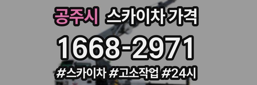 공주시 스카이차 가격