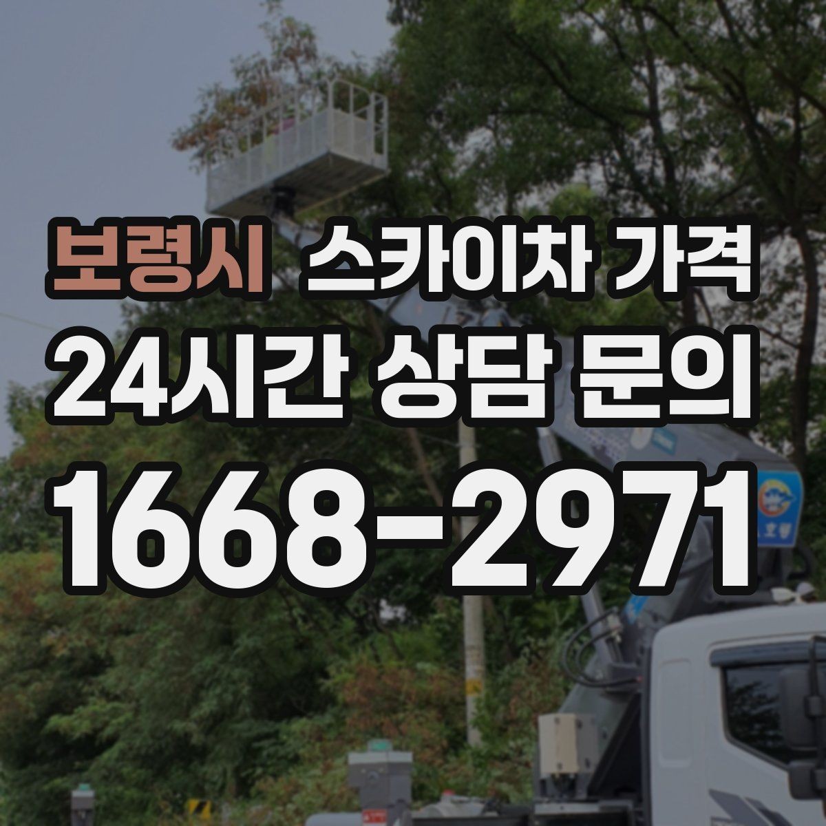 보령시 스카이차 가격 단순 점검과 실제 작업의 견적 차이