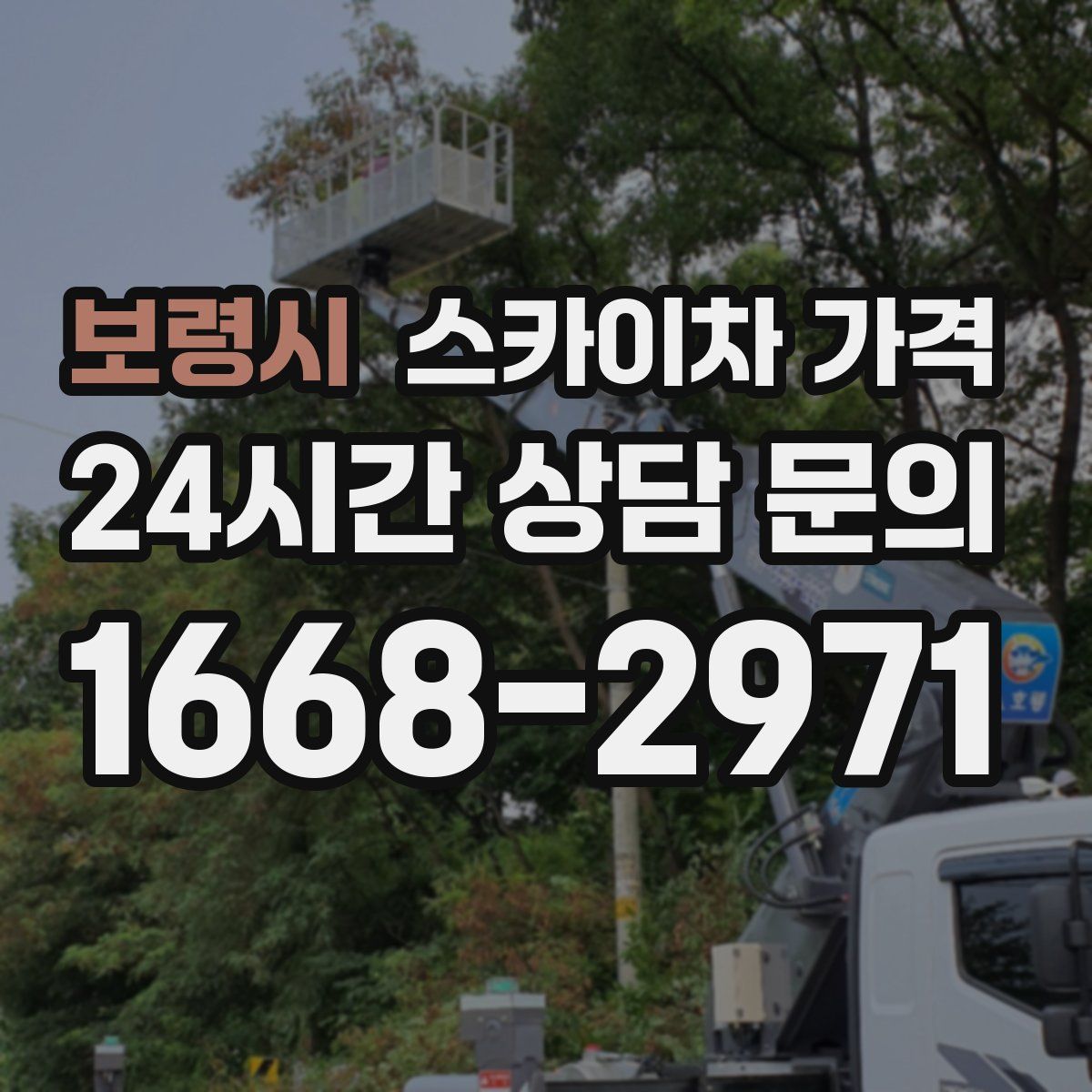 보령시 스카이차 가격