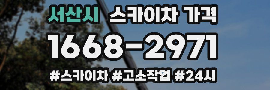 서산시 스카이차 가격