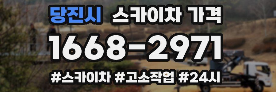 당진시 스카이차 가격