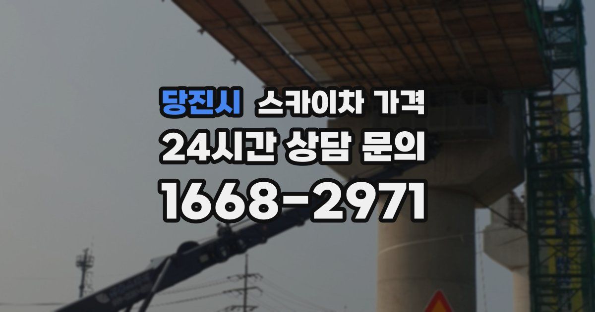 당진시 스카이차 가격