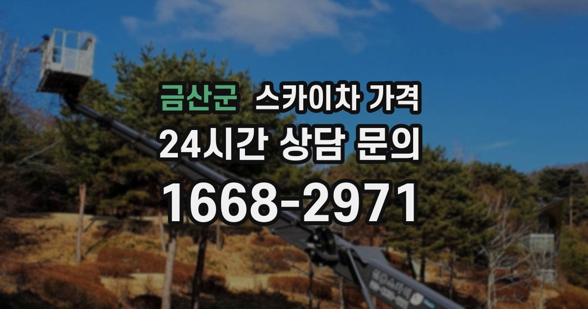 금산군 스카이차 가격