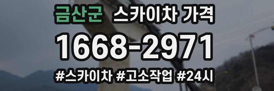 금산군 스카이차 가격