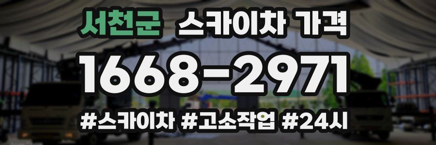 서천군 스카이차 가격