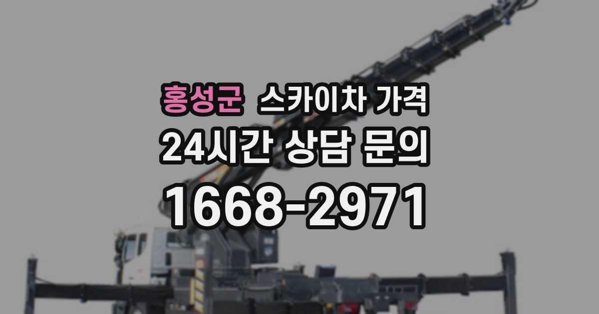 홍성군 스카이차 가격
