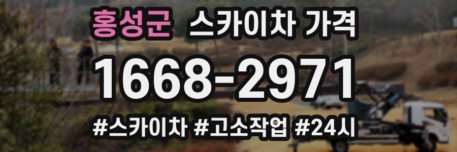 홍성군 스카이차 가격