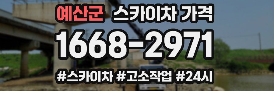 예산군 스카이차 가격