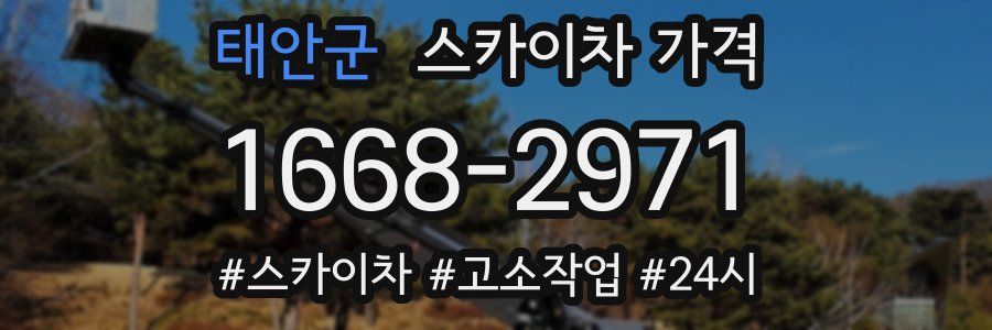 태안군 스카이차 가격