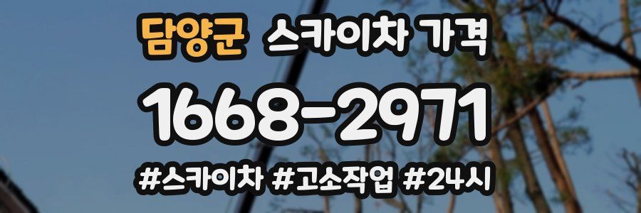 담양군 스카이차 가격