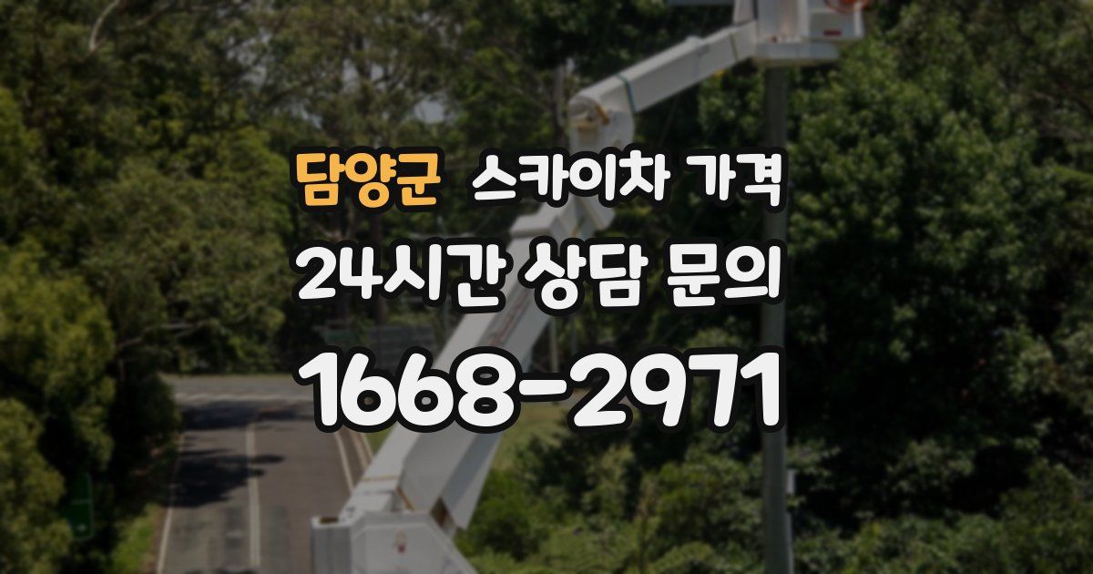 담양군 스카이차 가격