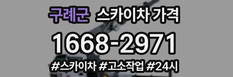 구례군 스카이차 가격