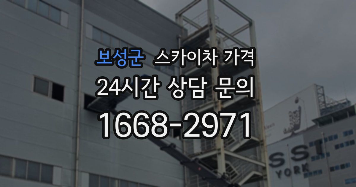 보성군 스카이차 가격