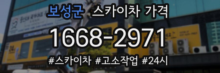 보성군 스카이차 가격