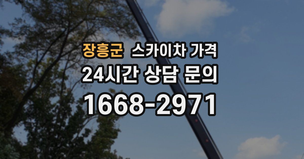 장흥군 스카이차 가격