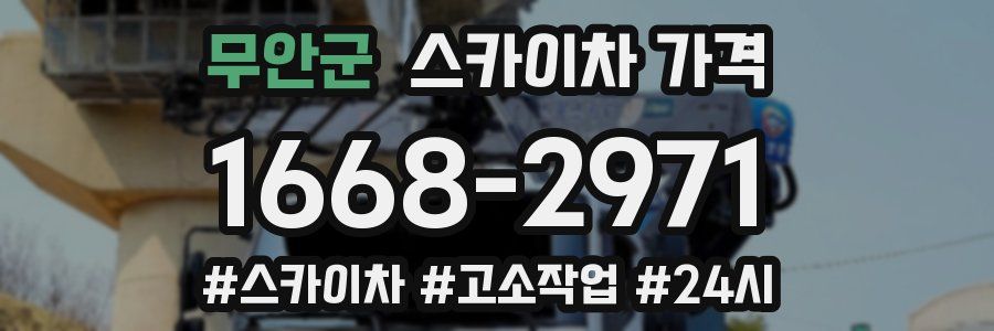 무안군 스카이차 가격