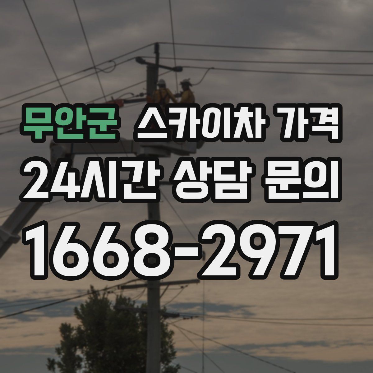 무안군 스카이차 가격