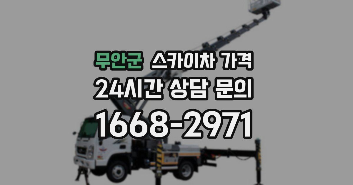 무안군 스카이차 가격