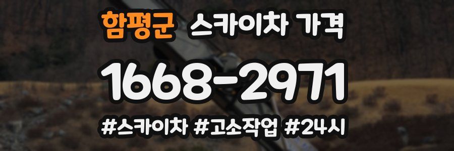 함평군 스카이차 가격