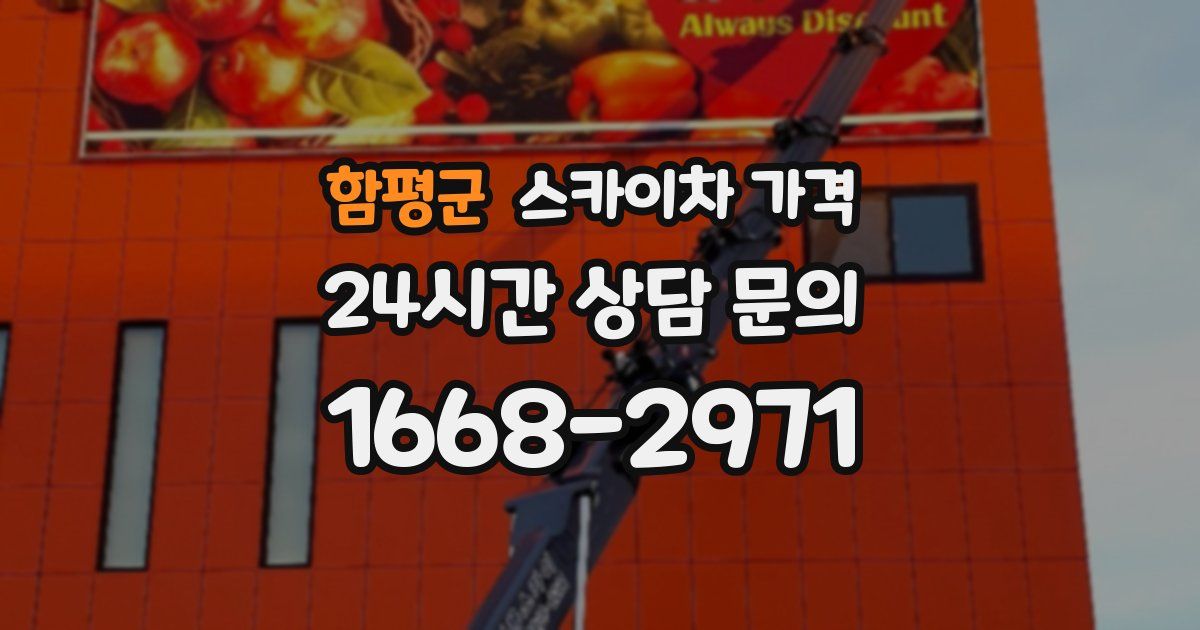 함평군 스카이차 가격