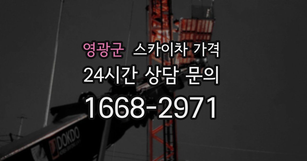 영광군 스카이차 가격