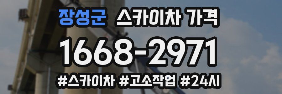 장성군 스카이차 가격