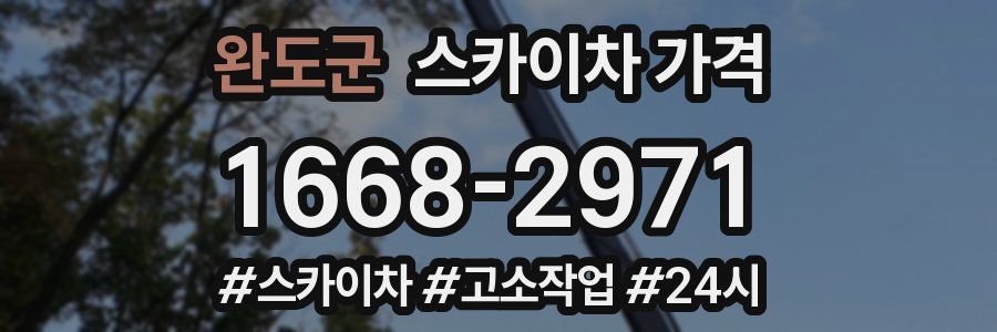 완도군 스카이차 가격