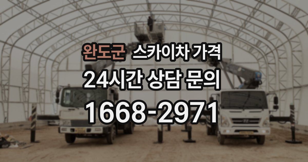 완도군 스카이차 가격