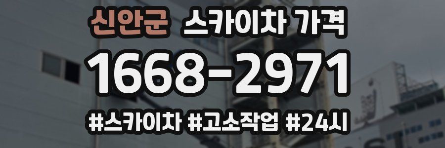 신안군 스카이차 가격