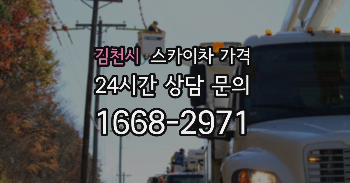 김천시 스카이차 가격