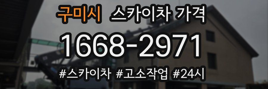 구미시 스카이차 가격