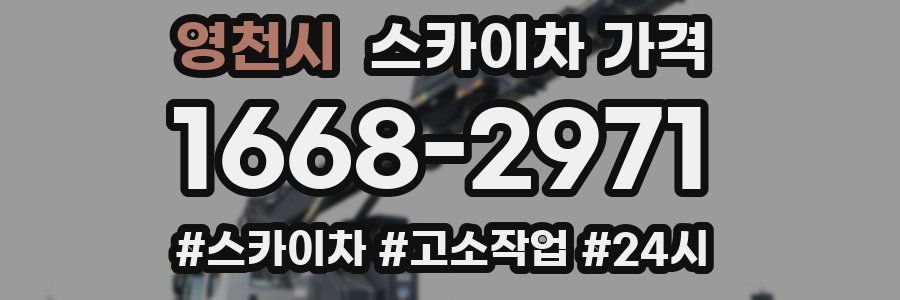 영천시 스카이차 가격