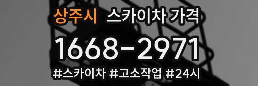 상주시 스카이차 가격