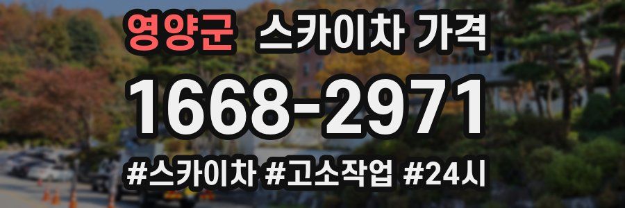 영양군 스카이차 가격