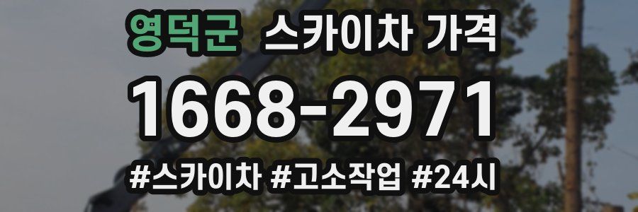 영덕군 스카이차 가격