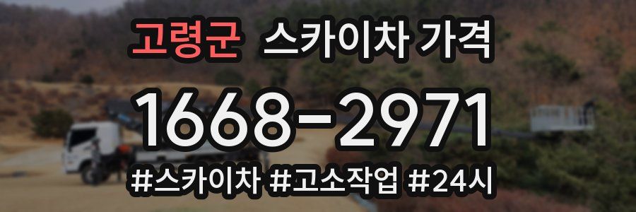 고령군 스카이차 가격