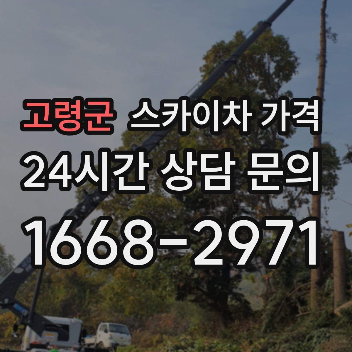 고령군 스카이차 가격