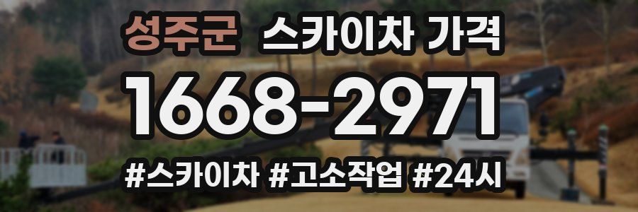 성주군 스카이차 가격