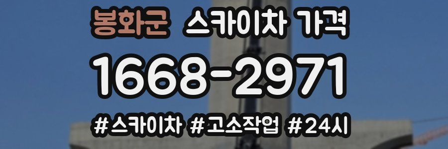 봉화군 스카이차 가격