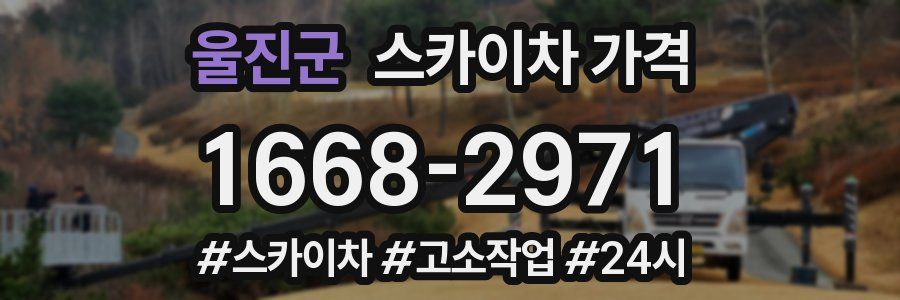 울진군 스카이차 가격